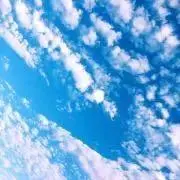 キムチの画像