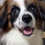 なぎの画像