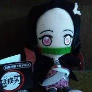 ようちゃんの画像