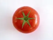 まんとひひの画像