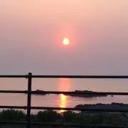 らん