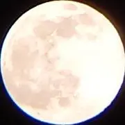満月の夜の画像