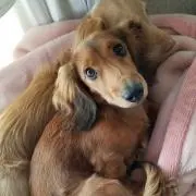 ひろきち