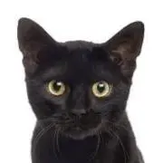 YCMの画像