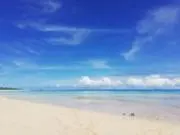 ゴリ
