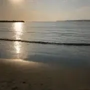 maimai