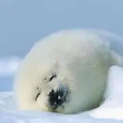 もくもく