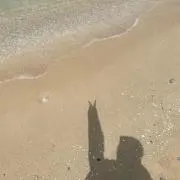 ちゃん お値下げ対応◎の画像