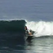 SURFの画像
