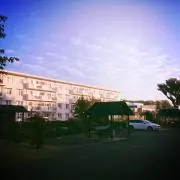 merjanの画像