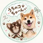 うちのコちゃーんっ。の画像