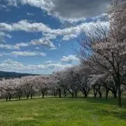 きくまるの画像