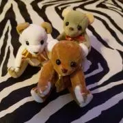 ピロロの画像