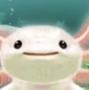 ばどみんとんの画像