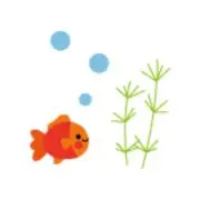 きんちゃんの画像
