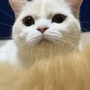 まー