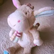 Shanannyの画像