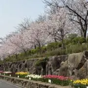 うさこの画像