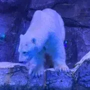 ghostの画像
