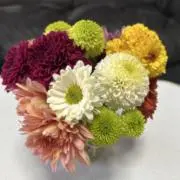 はいいちひめの画像