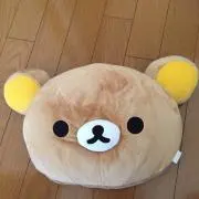 ぷりんの画像
