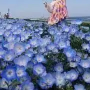 さーちゃんの画像