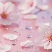 ドラえもんの画像