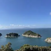 ぶっぴーの画像
