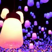 小花畑の画像