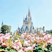 たなやん♩の画像