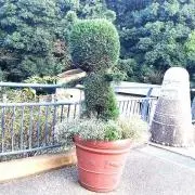 ホワイトの画像