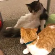 *_ _)
