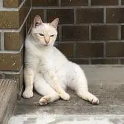 かばさんの画像
