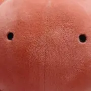 ひかるの画像