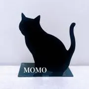 MOMOの画像