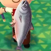 キングサーモン様専用ベイブレード レアベイセット - メルカリ