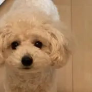 R♡の画像