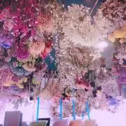 soraの画像