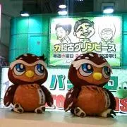 【！プロフ必読！】りっとん