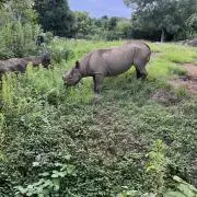 モナ王の画像