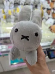 きゃむ