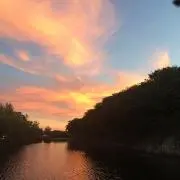 ブルーボーイママ