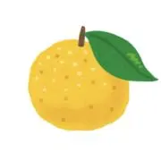 ゆず