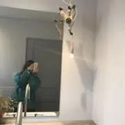 mmmの画像