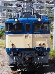 オオトリの画像