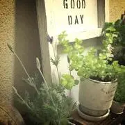 濃いチョコ