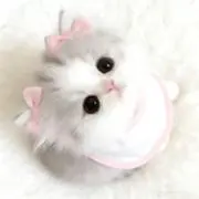 Image of MI-HI♡