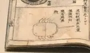 ネコマルの画像