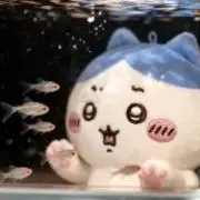 まぁるの画像