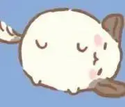 rubanプロフ必読の画像